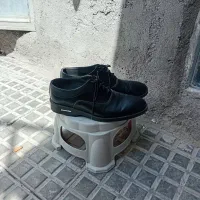 کفش نووسالم