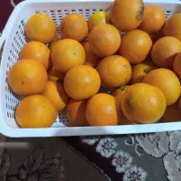 پرتقال خونی