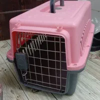 باکس گربه و سگ