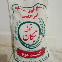 برنج کشت دوم