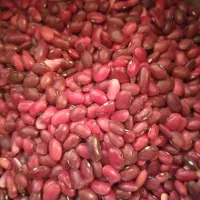 لوبیا قرمز ریز