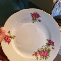 سرویس چینی گل سرخی|ظروف سرو و پذیرایی|کرج, شهرک فهمیده|دیوار