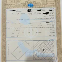 زمین-مروارید-1