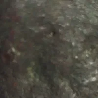 شهاب سنگ مریخی