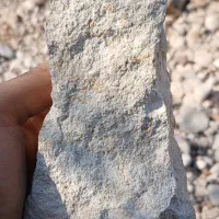 سنگ فسیل|کلکسیون اشیاء عتیقه|فیروزآباد (فارس), |دیوار