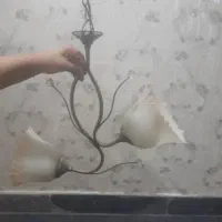 دو عدد لوستر طرح لاله