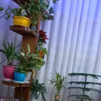 استند گل یاجاکتابی|کتابخانه، شلف، قفسه‌های دیواری|اهواز, کیان اباد|دیوار