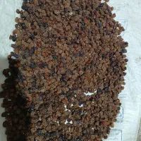 آلوچه و گیلاس|خوردنی و آشامیدنی|تهران, ائمه اطهار|دیوار