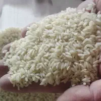 برنج لنجان|خوردنی و آشامیدنی|زاینده رود, |دیوار