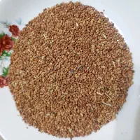 بذر یونجه همدانی درجه یک