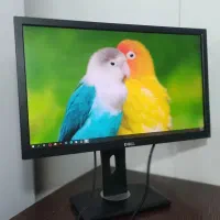 مانیتور dell 24 led فول اچ دی|قطعات و لوازم جانبی رایانه|شیراز, زند|دیوار