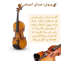 آموزش تنبک ویولن دف هنگ درام سنتور سه تار|خدمات آموزشی|رباط‌کریم, رباط‌کریم|دیوار