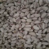 فروش وخریدپسته