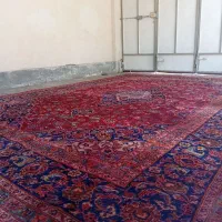 فرش|فرش|مرودشت, فرهنگ|دیوار