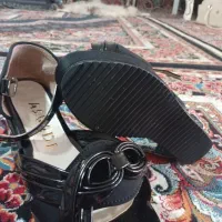 کفش مجلسی|کیف، کفش، کمربند|سجاس رود, |دیوار