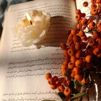 شمع های تزئینی|صنایع دستی و سایر لوازم تزئینی|قوچان, |دیوار