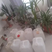 فروش بطری اب ۲۰ لیتری|ظروف نگهدارنده، پلاستیکی، یک‌بارمصرف|مرودشت, فاز دوم شهرک فرهنگیان|دیوار