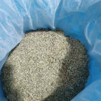 آویشن پهن
