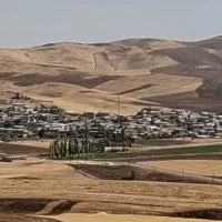 کاه گندم