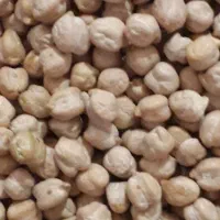 فروش‌نخود‌کرمانشاه