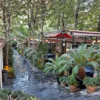 برنج پز و کمک کباب پز