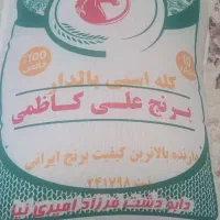 کله اسبی بالدار برنج علی کاظمی