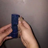 فنچ کینگ اورنج و عروس هلندی سخنگو