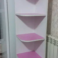 یک عدد قفسه سالم و نو
