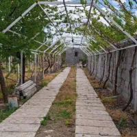 جوشکاری سبک سازی سایبان و قیمه انگوروخرده کاری