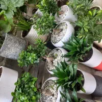 خدمات کلیه باغبانی باغچه کاری کاشت گل وگیا به تمام|خدمات باغبانی و درختکاری|تهران, ستارخان|دیوار