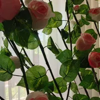 درختچه بزرگ گل رز