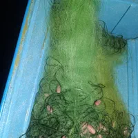 تور شوریده ای ۲۰۰ یاردی