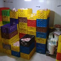 نیروی بیخس کار مرغ و خردکن جهت پیمانکاری