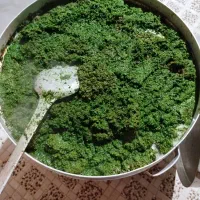 انواع سبزی خورشتی