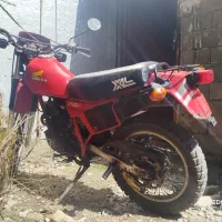 فورش فوری اکسل ۲۵۰