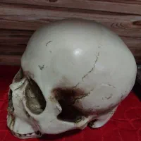 آباژور و ...|چراغ خواب و آباژور|فردیس, فردیس|دیوار