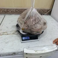 ماهی فروشی کن طس