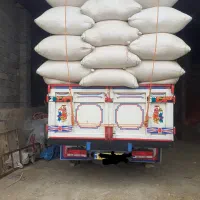 خوراک دام، کاه گندم و جو،یونجه پرسی و کوبیده