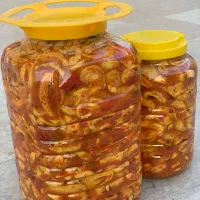 ترشی جنوب رودان