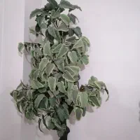 درخت مصنوعی