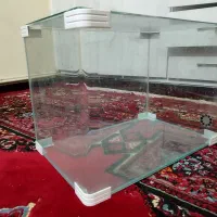 اکوارویوم شرکتی نو نو سالم