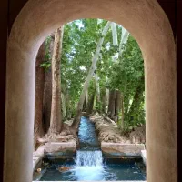 تورشیراز گردی