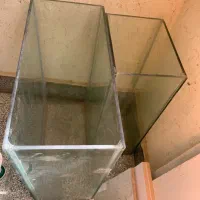 اکواریوم|ماهی|صدرا-فارس, فاز ۱|دیوار