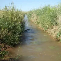 فروش ۱۵ دقیقه آب کشاورزی (چاه زینی)