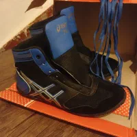 کفش کشتی اسیکس
