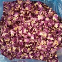 تلفن وغنچه وپرگل محمدی