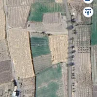 باغ زمین کشاورزی