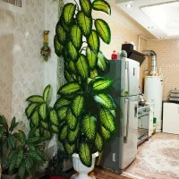 گل دیفن|گل و گیاه طبیعی|سنندج, |دیوار