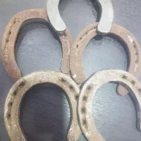 نعل  کار کرده اسب