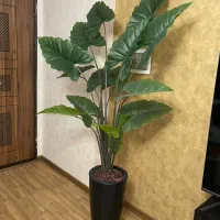 درخت بابا آدم  بزرگ مصنوعی ۱۷ برگ